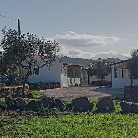 Agriturismo Sa Murta Доргалі Екстер'єр фото
