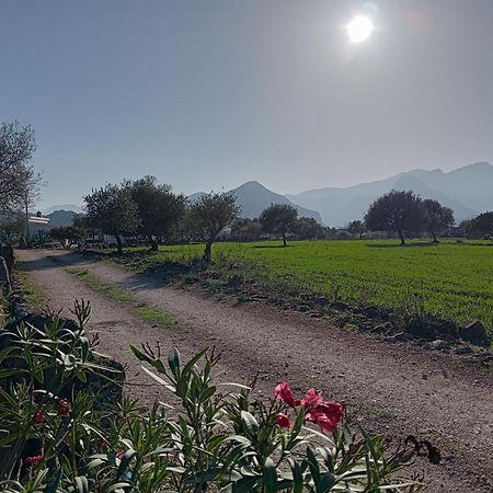 Agriturismo Sa Murta Доргалі Екстер'єр фото