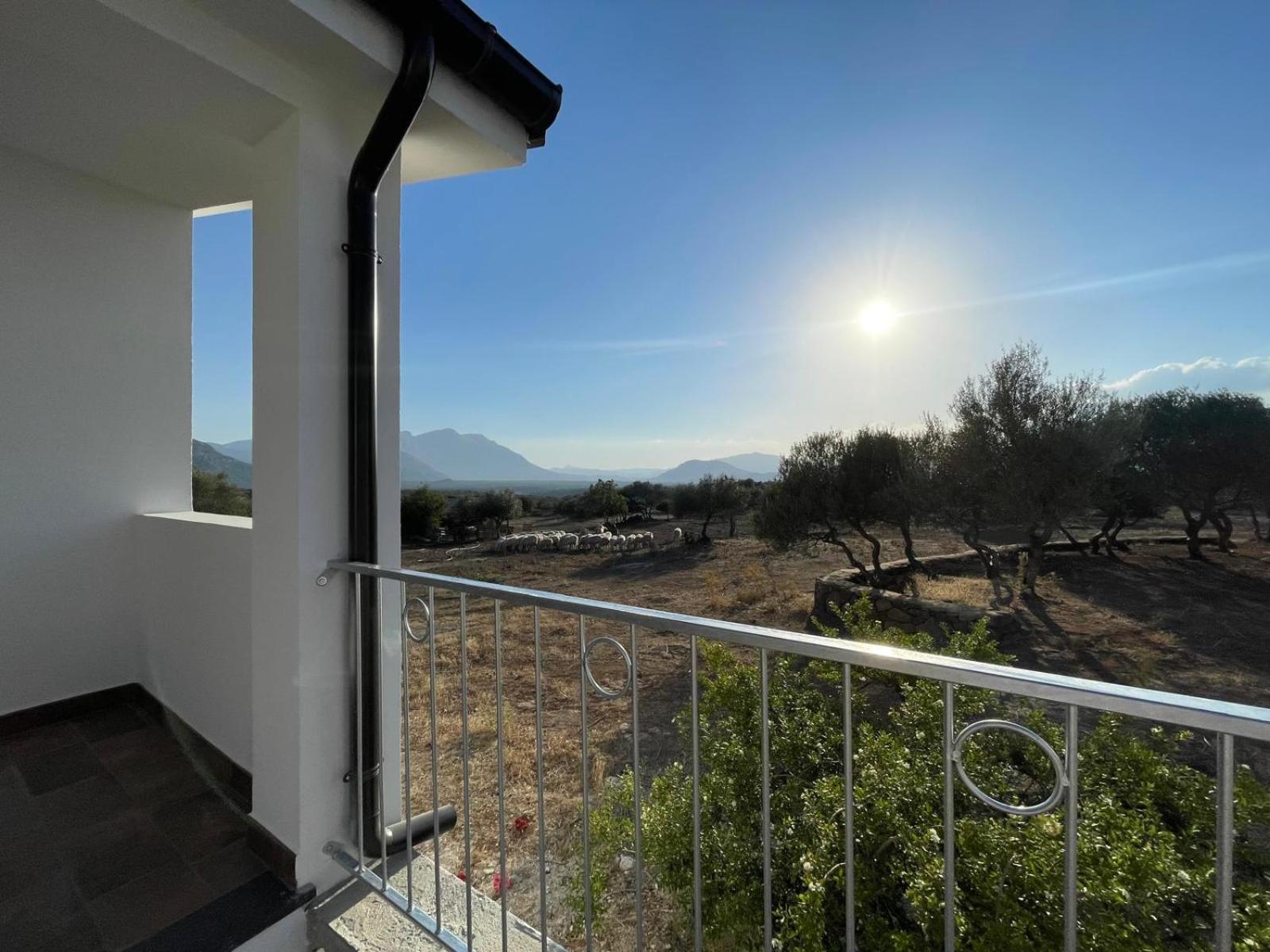 Agriturismo Sa Murta Доргалі Екстер'єр фото