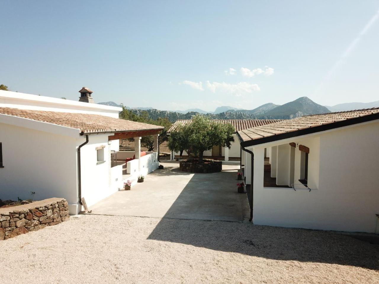 Agriturismo Sa Murta Доргалі Екстер'єр фото