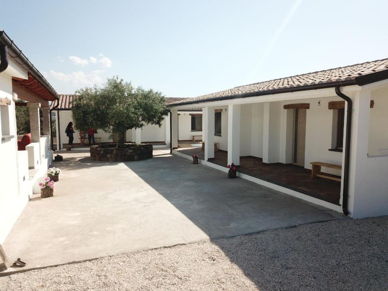 Agriturismo Sa Murta Доргалі Екстер'єр фото