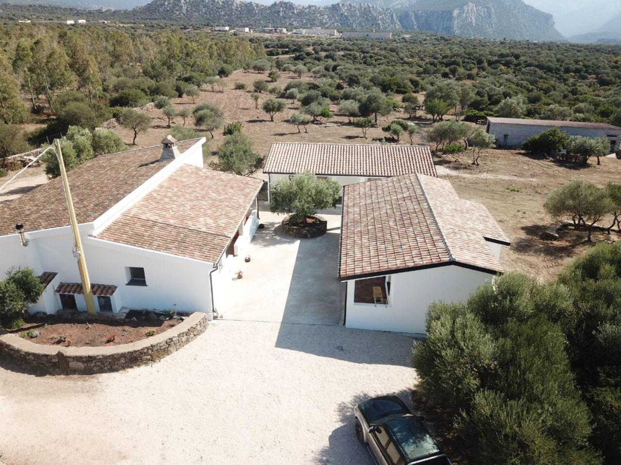 Agriturismo Sa Murta Доргалі Екстер'єр фото