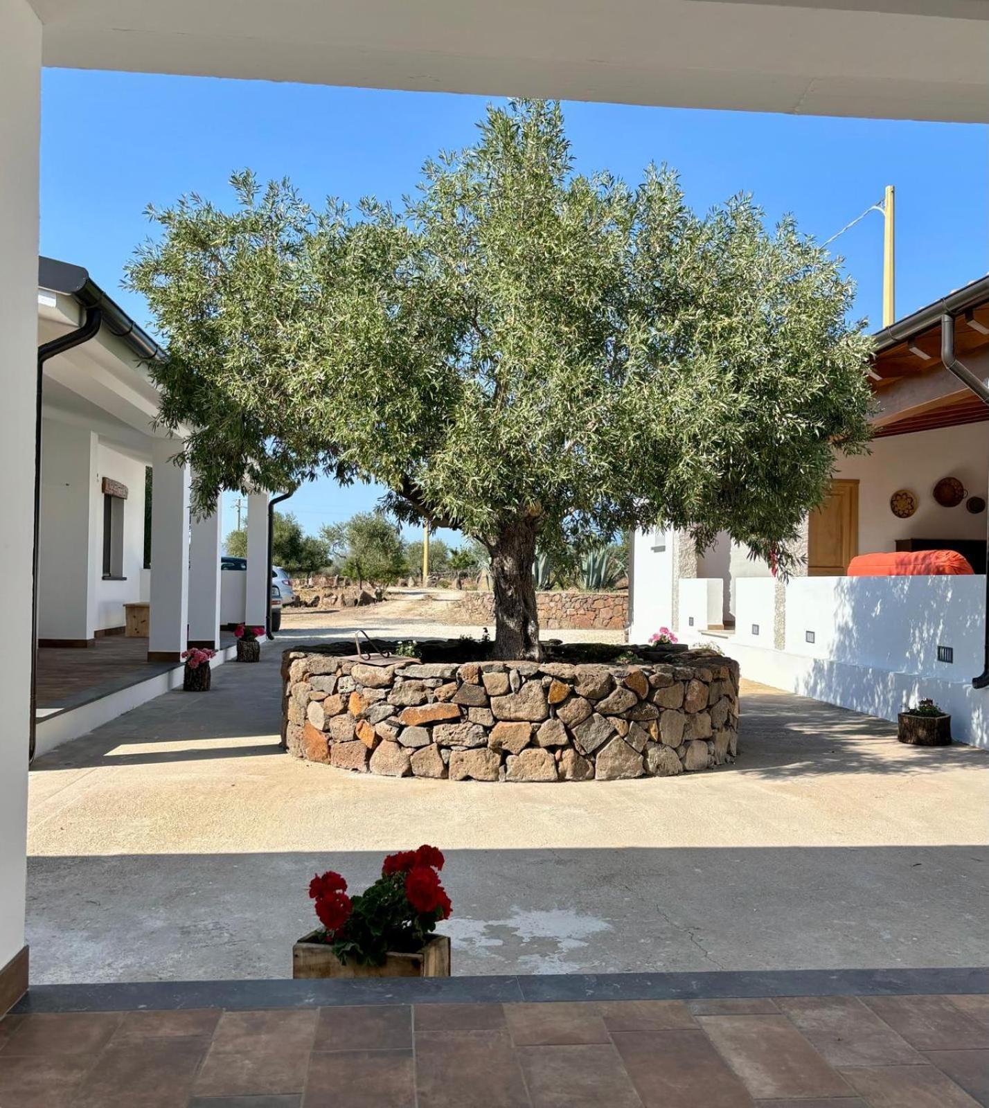 Agriturismo Sa Murta Доргалі Екстер'єр фото