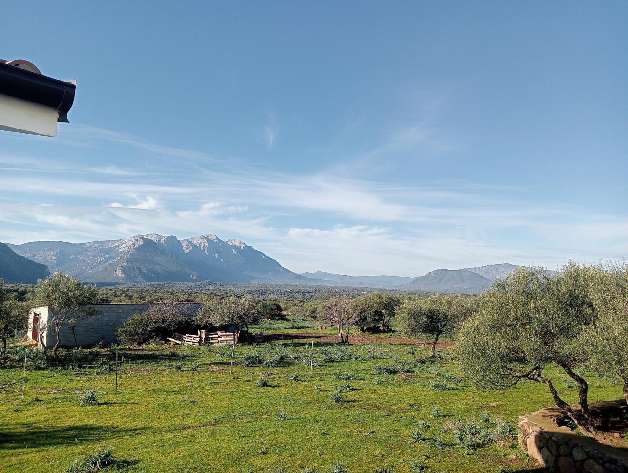 Agriturismo Sa Murta Доргалі Екстер'єр фото